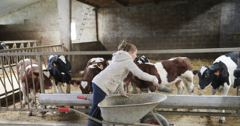 Schoon Boeren 2019 Meerschhof