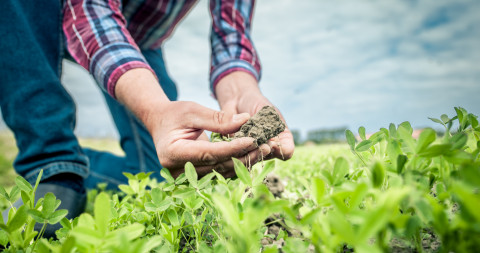 Carbon Farming themabeeld