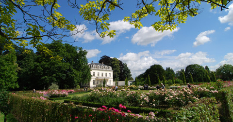 Rozentuin met zicht op kasteel 't Hooghe