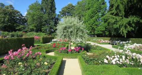 Blik Op De Franse Tuin