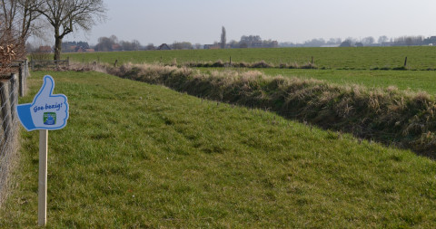 Perceelsrand
