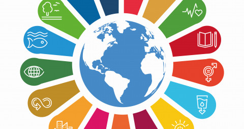 sdgs wereldbol symbool