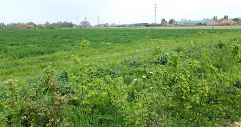 demoperceel agronatuur zicht