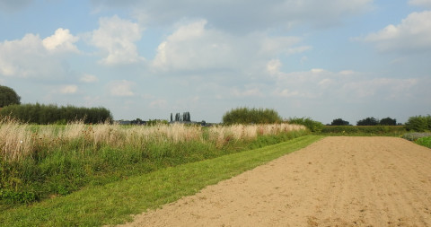 Keverbank op het demoperceel agronatuur