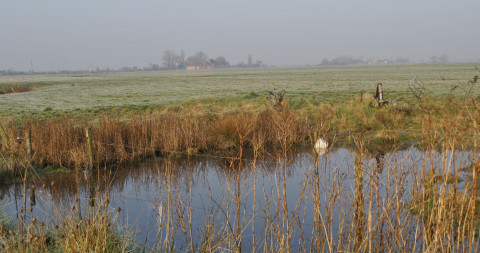 Oppervlaktewater kwaliteit