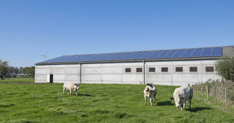 Zonnepanelen