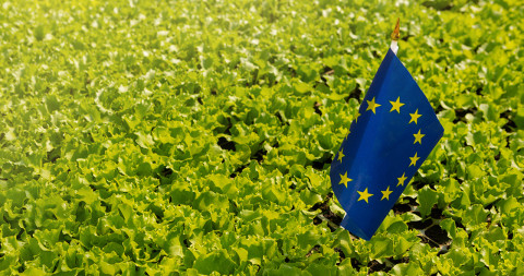Europese vlag tussen sla