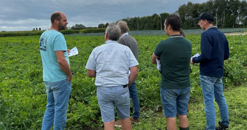 Focusgroep b3w
