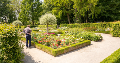 Bezoekers in Rozentuin
