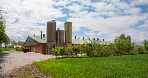 Stal_varkens_AdobeStock_259610333_credit_agrarmotive_compr.png