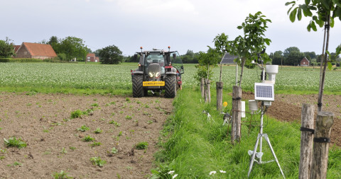 Gras zaaien langs de bomenrij