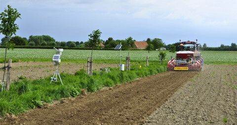 Inzaaien groenbedekker