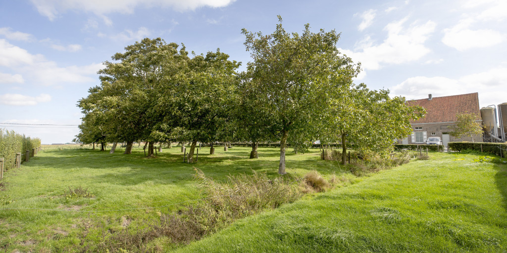 landschappelijke integratie 8