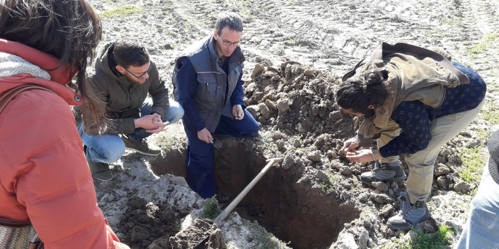 ondersteunen carbon farming