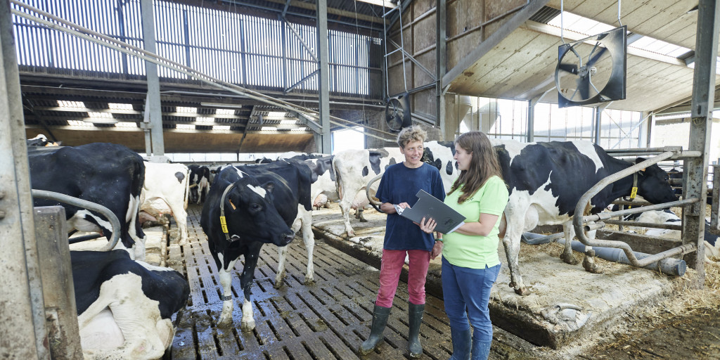 Melkveehouder en adviseur samen in de stal