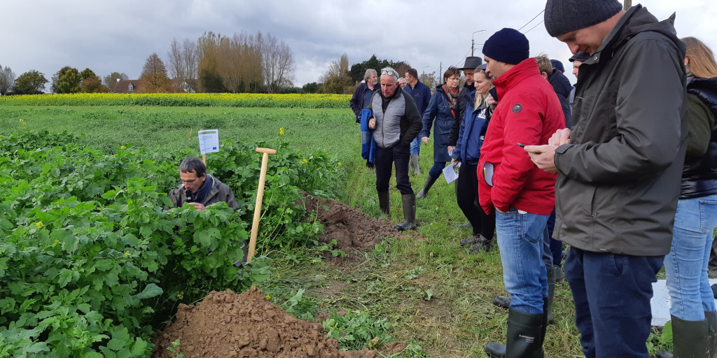 Groenbemestersevent 4 november 2021 profielput