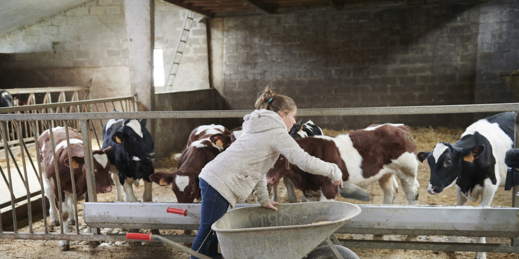 Schoon Boeren 2019 Meerschhof