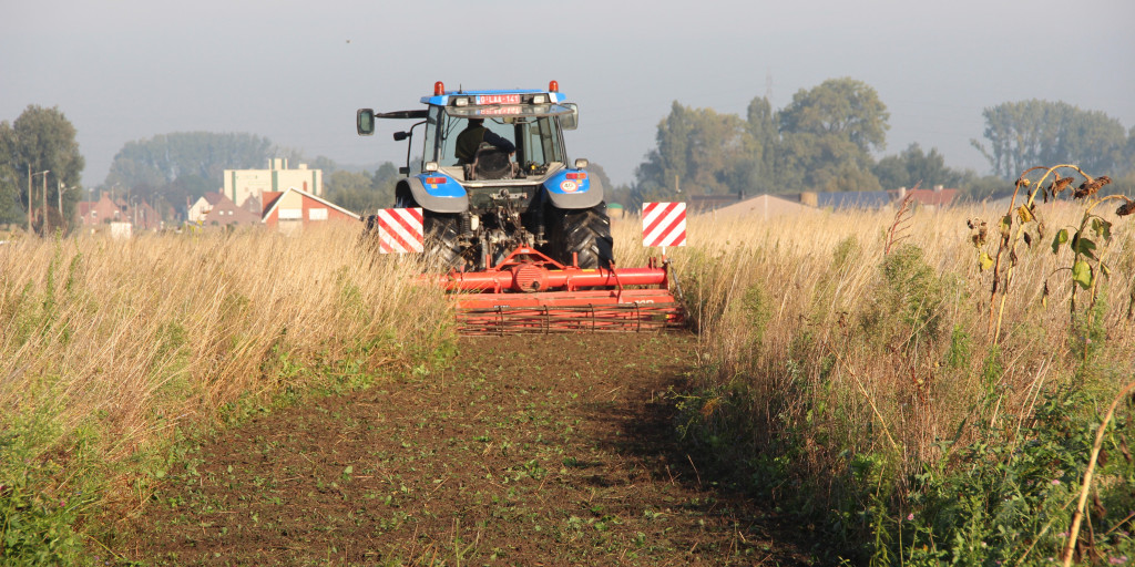 bloemblokken landingsstrooken
