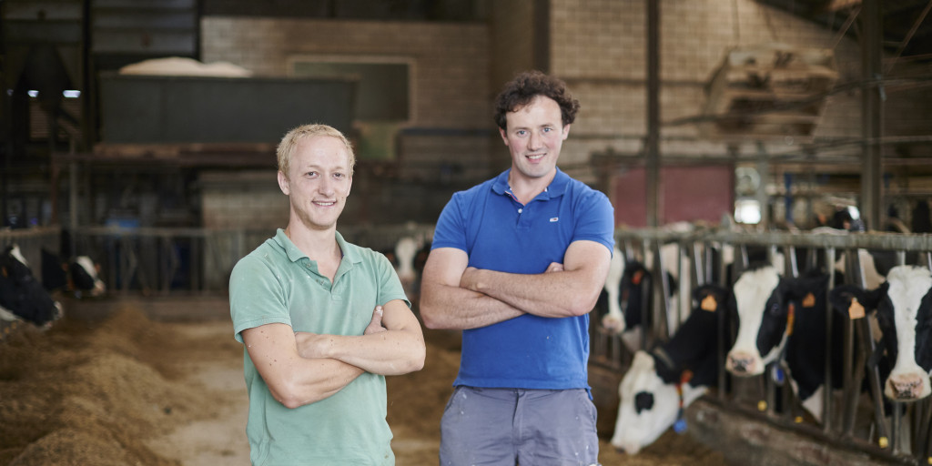 Melkvee arbeidskracht
