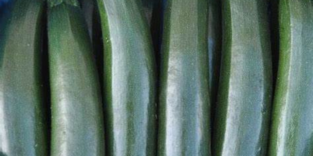 courgette vrucht