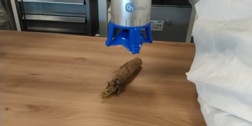 Een robotarm die een witloofwortel gaat grijpen.
