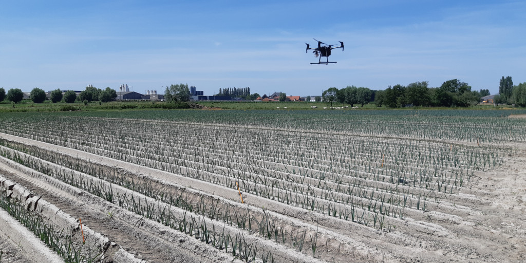 drone_prei_veld