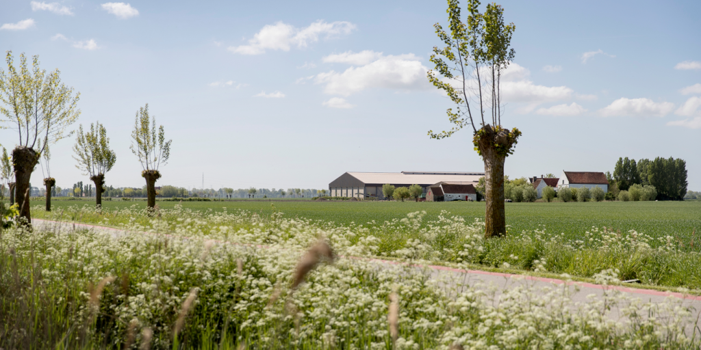 Sfeerbeeld knotbomen landbouwbedrijf
