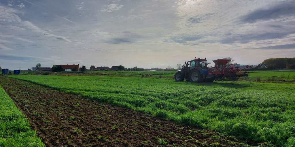 Inzaai van de boomstrook op het Inagro agroforestry perceel