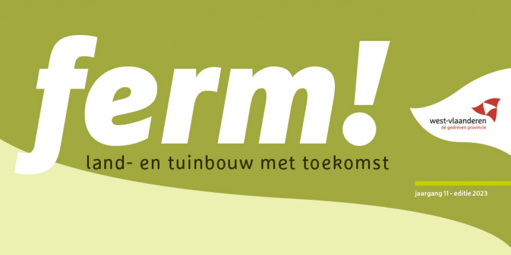Header FERM 2023