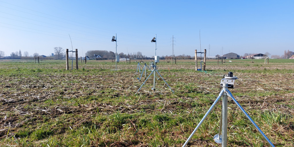 Lichtsensoren op het agroforestryperceel