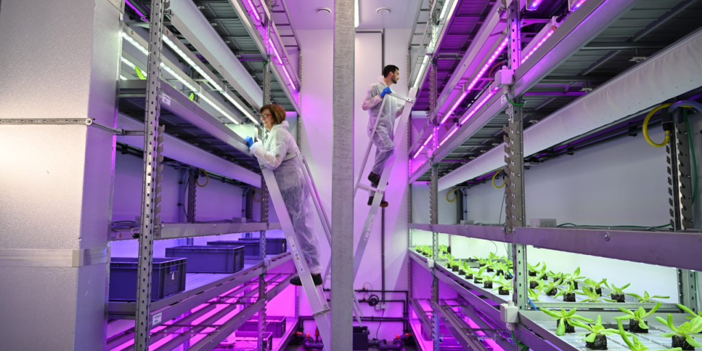 Agrotopia_Meerlagencontainer