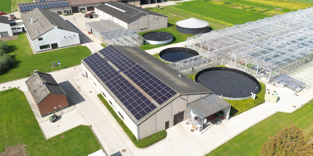 zonnepanelen