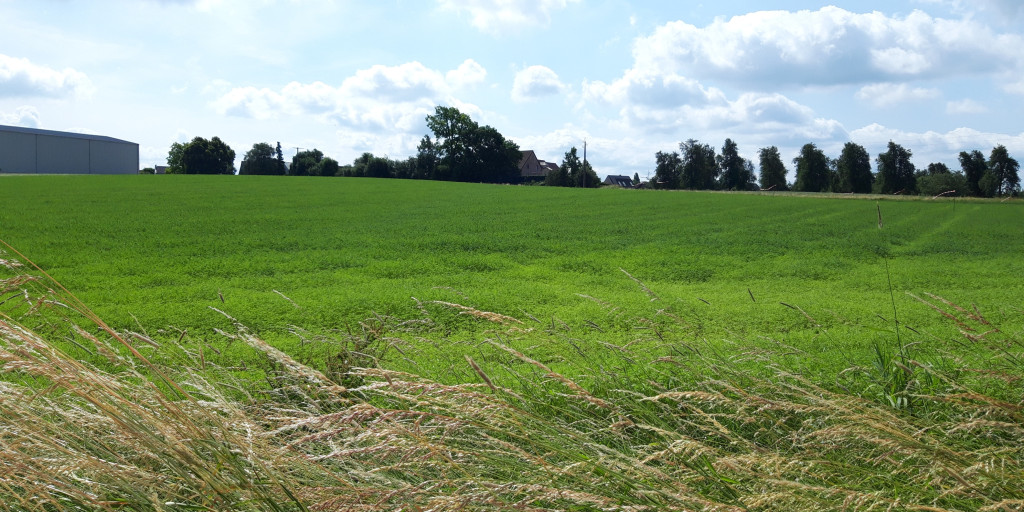 Hennepveld Juprelle