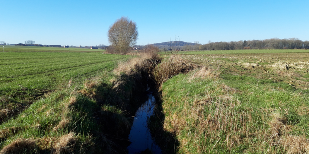 bollaertbeek
