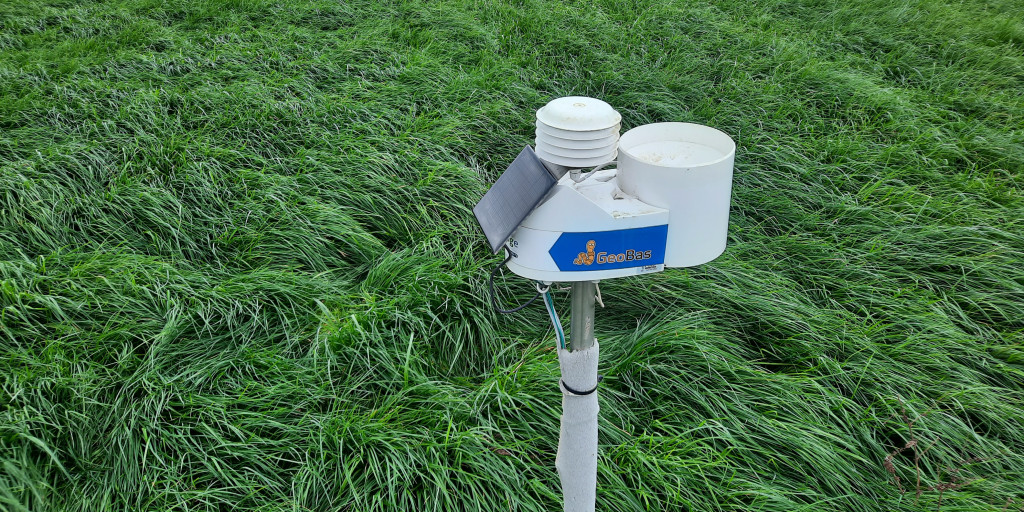 Weerstation grasland
