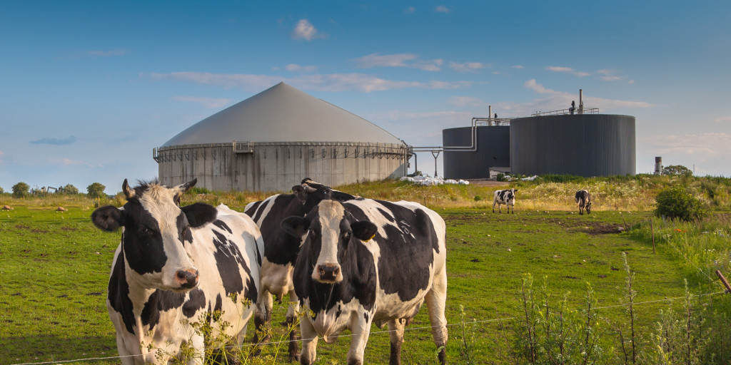Biogasinstallatie