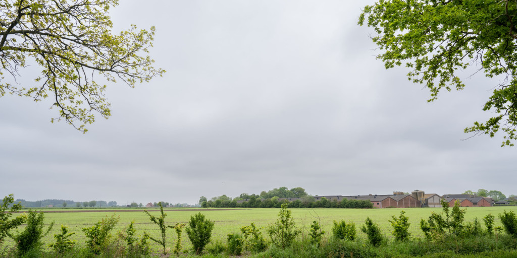 Bedrijf in het landschap met struiken