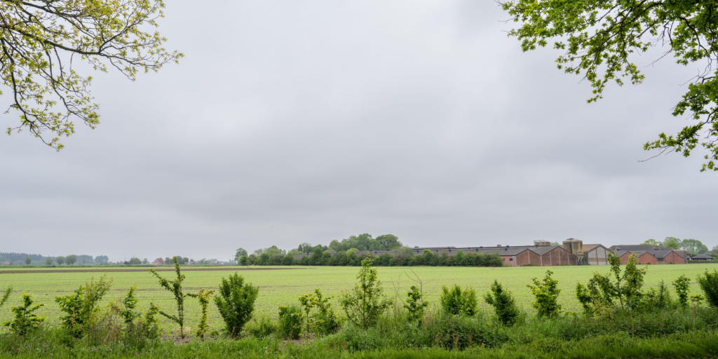 Landbouwbedrijf in landschap