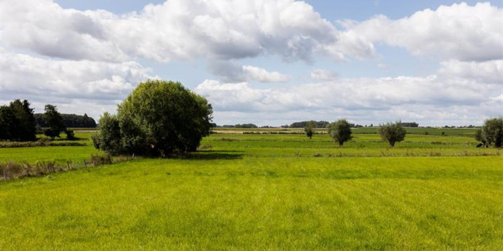 Grasland