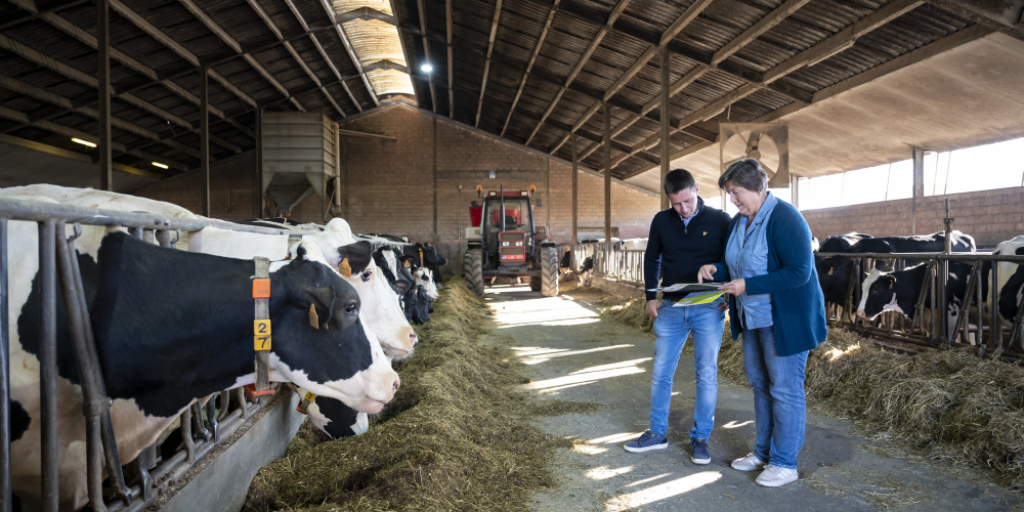 Kathleen Storme geeft advies aan melkveehouder