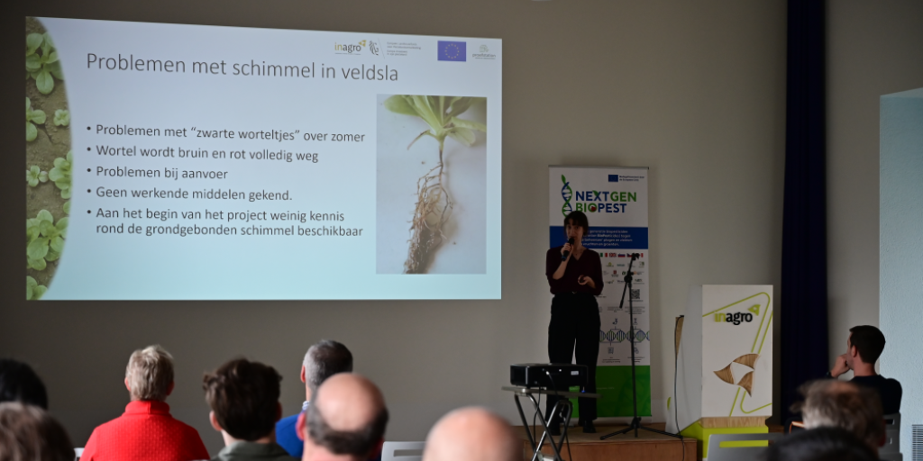 Mensen wonen presentatie bij over bladgewassen