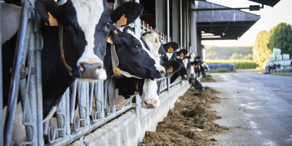 Agriclimate banner foto