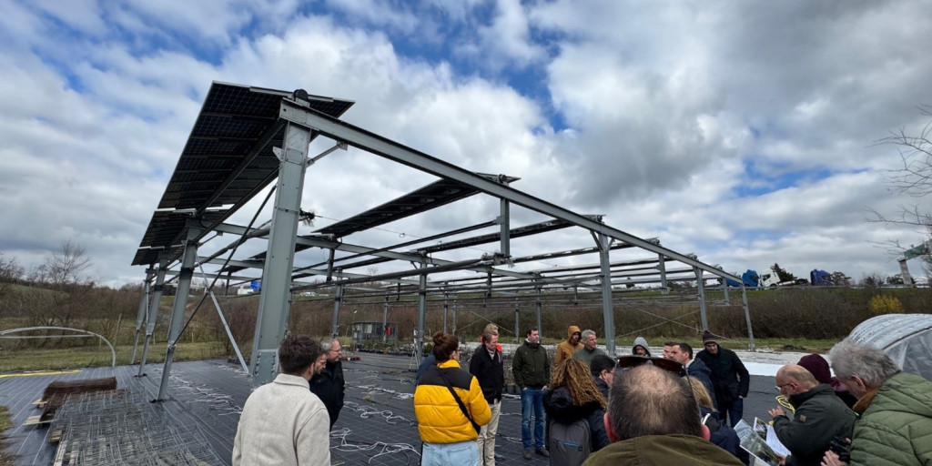 RE-Greenhouse bedrijf 4.jpg