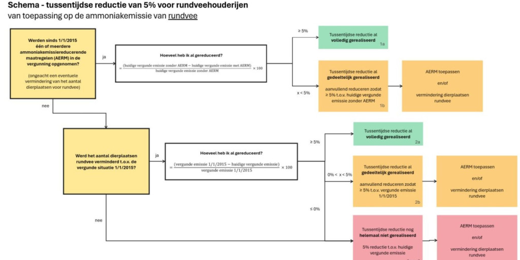 Stroomschema reductie rundveehouderij