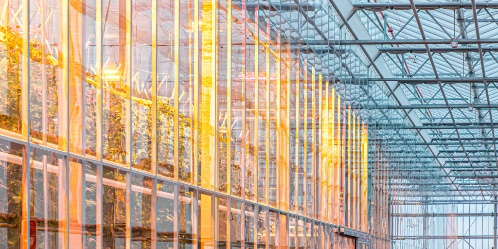 Agrotopia_licht