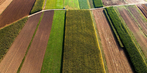 Colorful countryside fields
