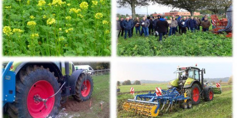 Demo groenbedekkers & badenspanning