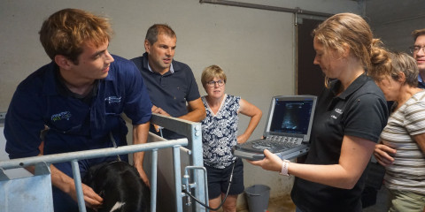 Snelscan longecho techniek