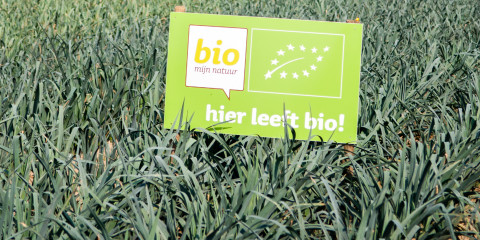 Bioveld