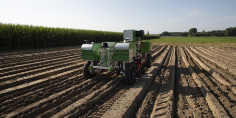 CIMAT robot veld